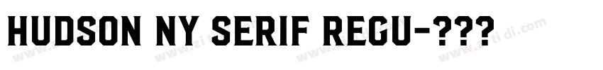 Hudson NY Serif Regu字体转换